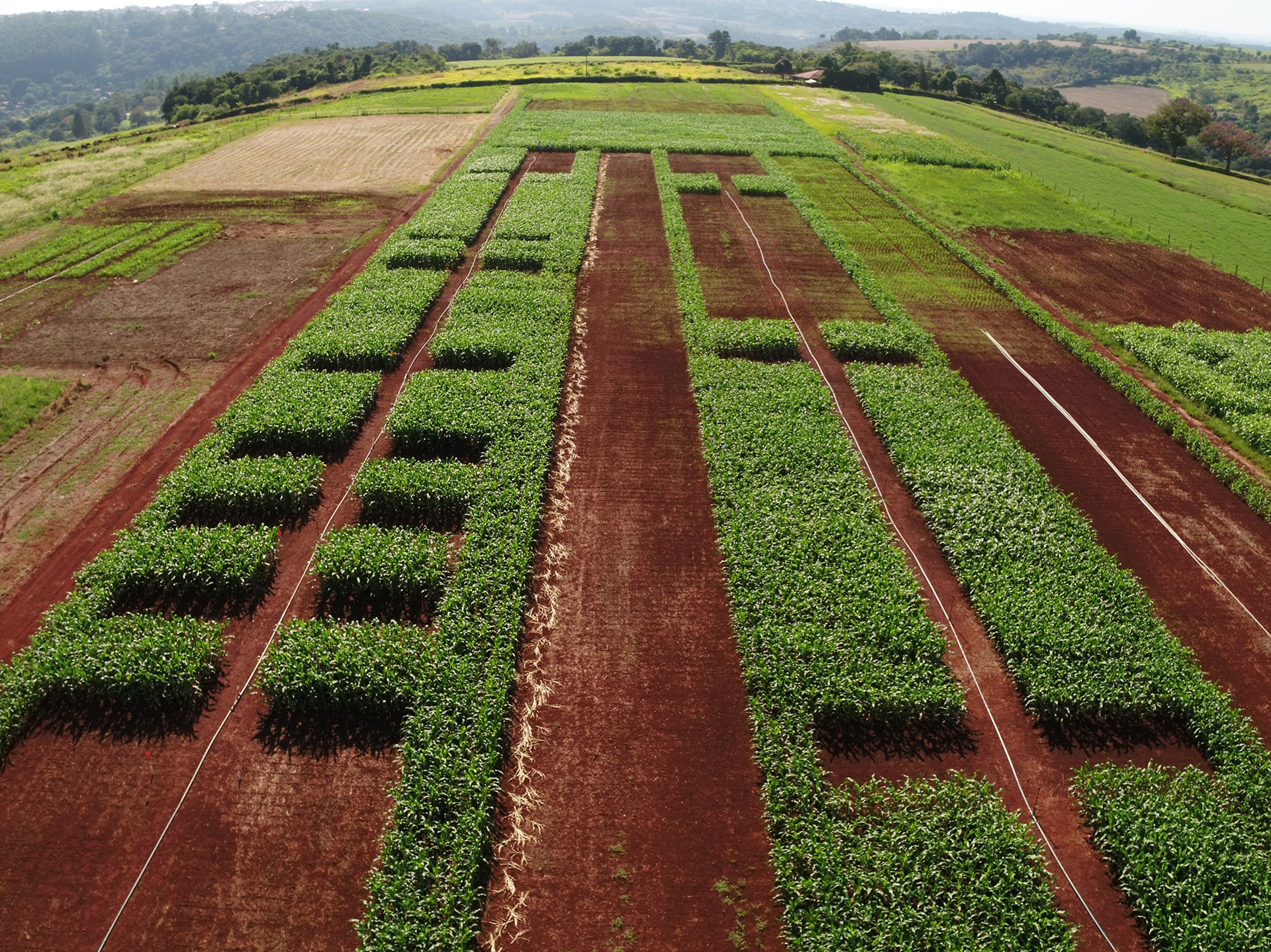 Agriculture 5.0 & Its Benefits