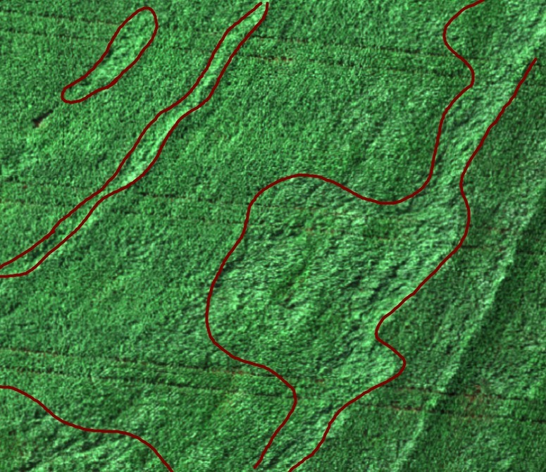 Lodging Affected Area