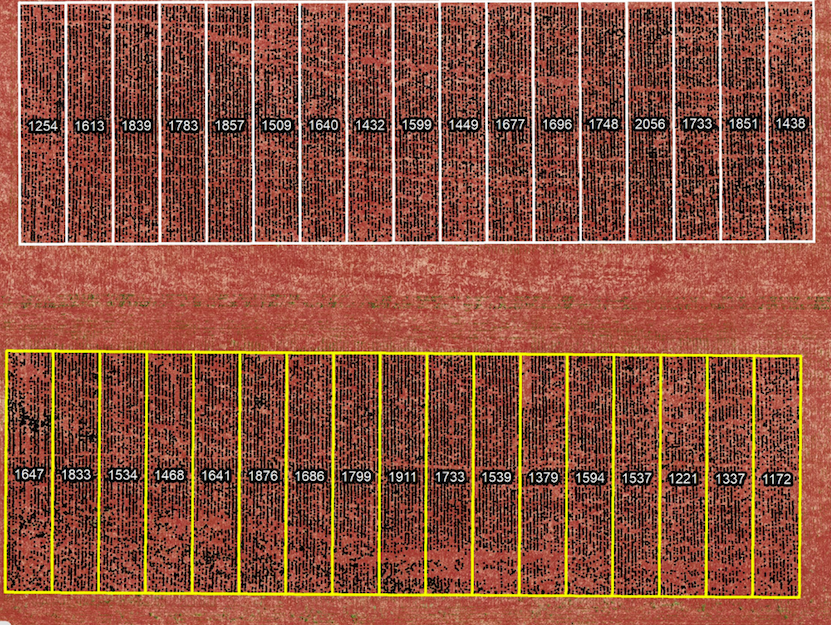 Estande / População De Plantas