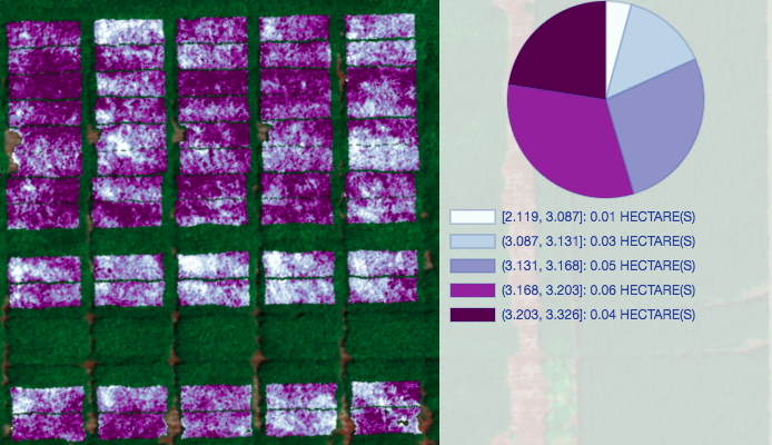 índice de Fotossíntese