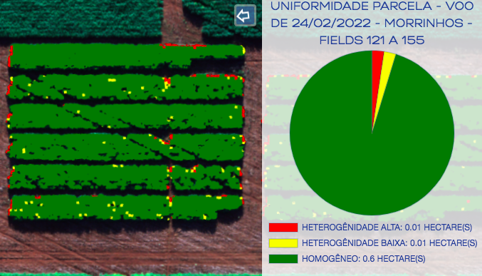 Uniformidad Del Cultivo