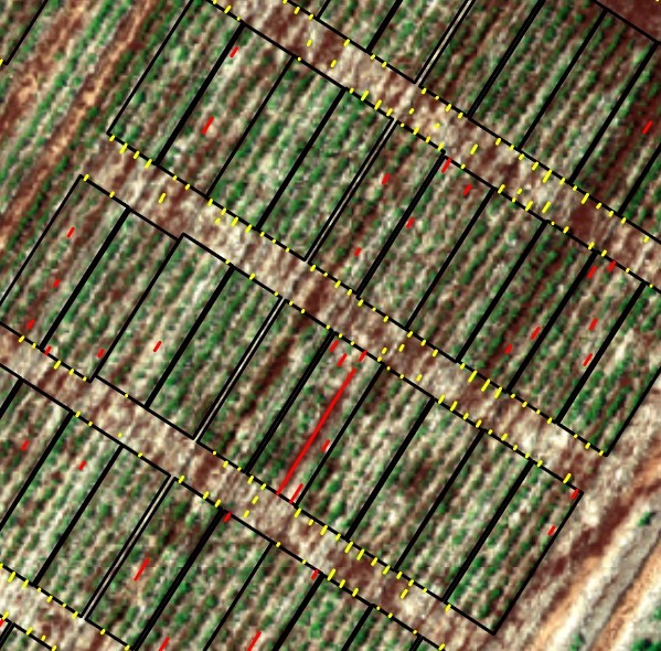 Longitud Media De Líneas